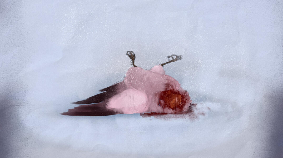 snow | vent piece