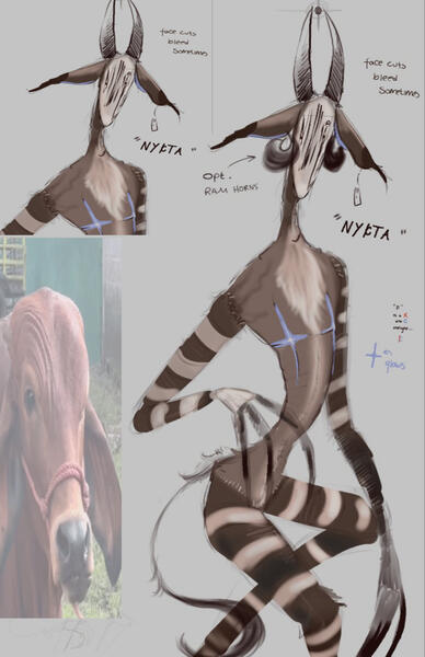 nycta belongs to my system :) do not copy or inspire please